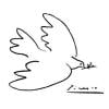717宇宙飞船