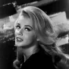 番茄沙丁鱼