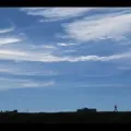 史蒂夫·伦纳德