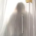 贝利·莫恩