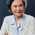 高放