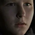 马修·哈伯