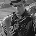 Bradford Jackson