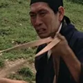 谭宝