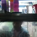 汀治·克里希南