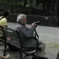 索尔·雷特