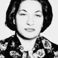 Hikmet Gül