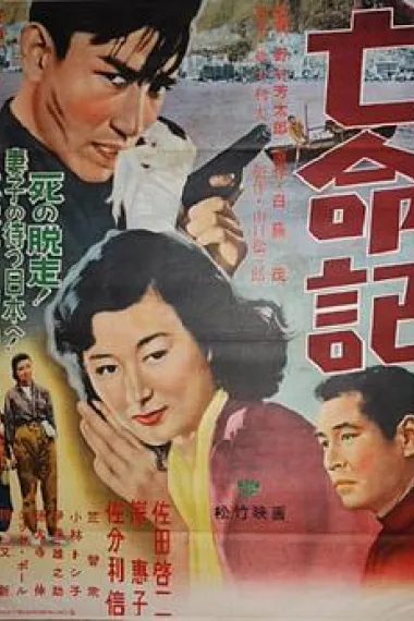 亡命记 下载