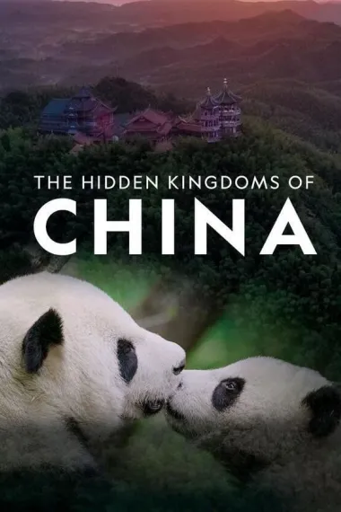 未至之境 下载