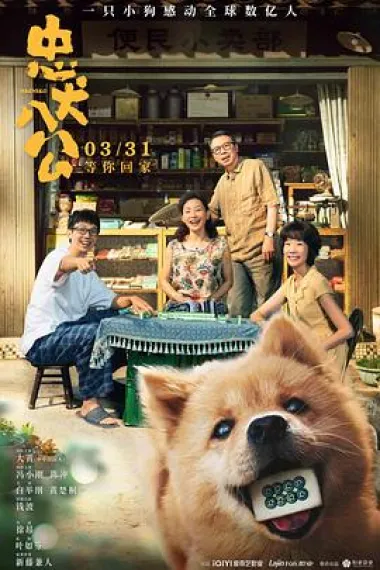 忠犬八公 2160P 4K 下载