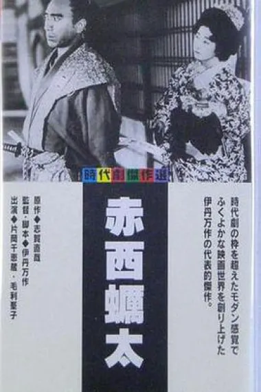 赤西蛎太 下载