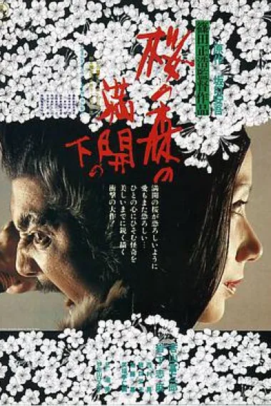 樱之森之满开之下 下载