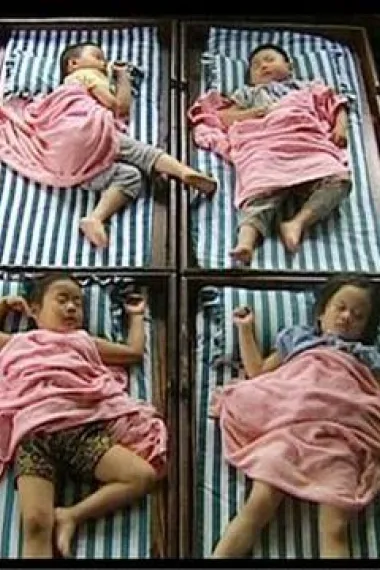 幼儿园 下载