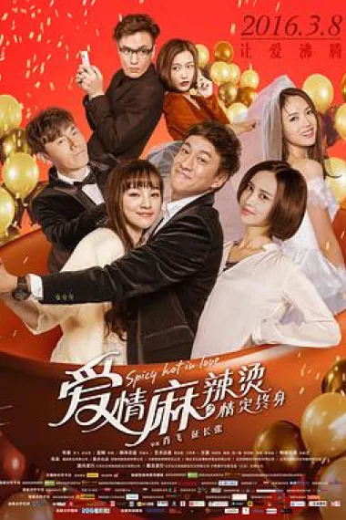 爱情麻辣烫之情定终身 下载