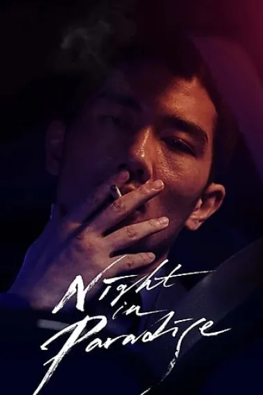乐园之夜 下载
