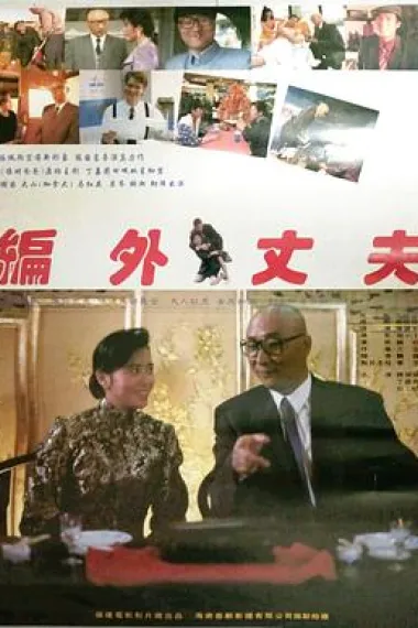 编外丈夫 下载
