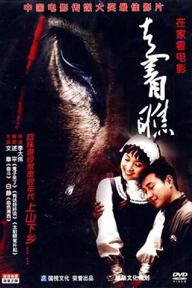 走着瞧 下载
