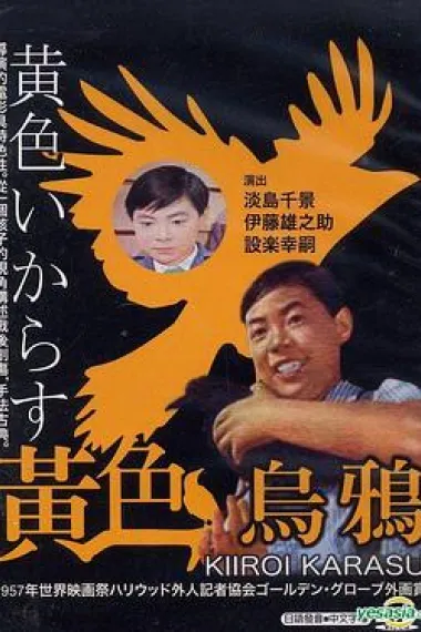 黄色乌鸦 下载