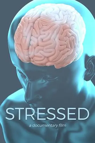 Stressed 下载