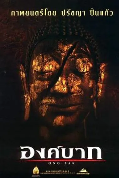 拳霸 2160P 4K 下载