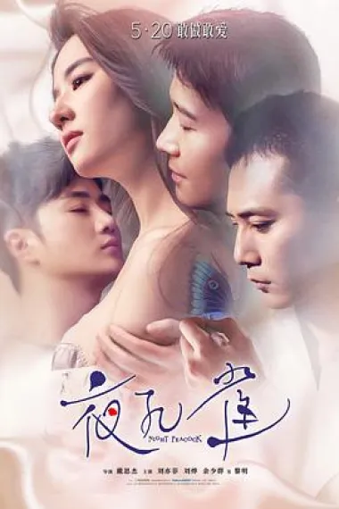 夜孔雀 2160P 4K 下载