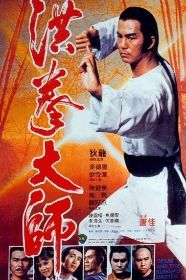 洪拳大师 下载