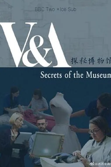 博物馆的秘密 下载