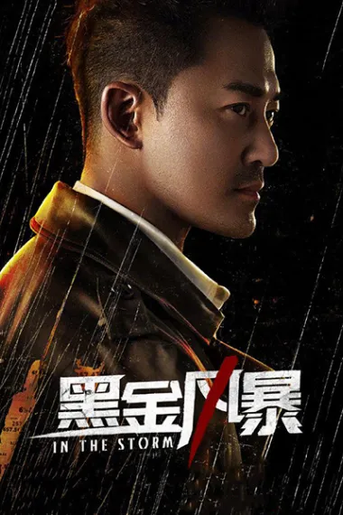 黑金风暴 2160P 4K 下载