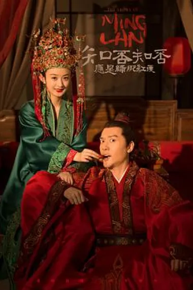 知否知否应是绿肥红瘦 2160P 4K 下载