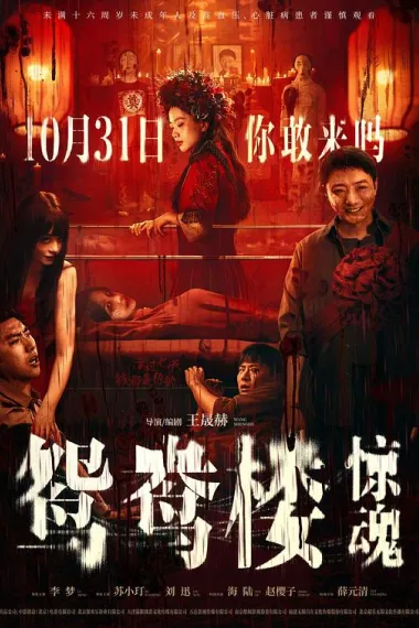 鸳鸯楼·惊魂 2160P 4K 下载