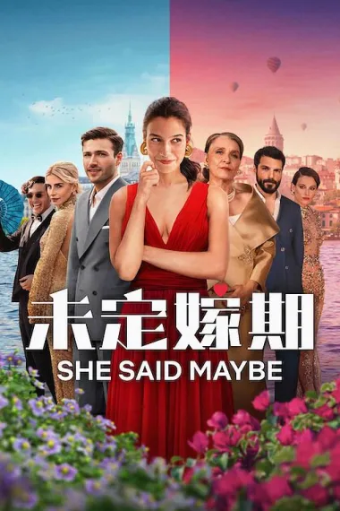 未定嫁期 2160P 4K 杜比视界 下载