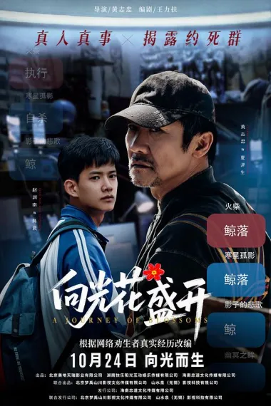 向光花盛开 2160P 4K 杜比视界 下载