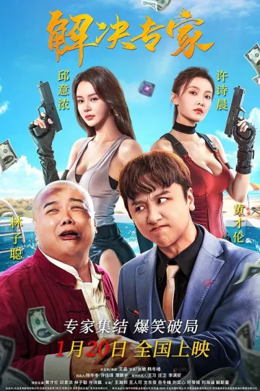 解决专家 2160P 4K 下载