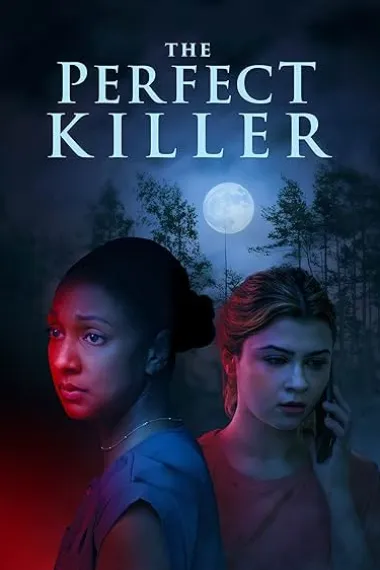 The Perfect Killer 下载