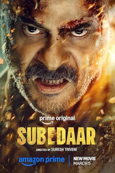 Subedaar 2160P 4K 杜比视界 下载
