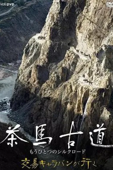 茶马古道:另一条丝绸之路 下载