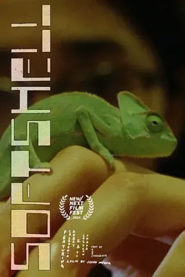 软壳 下载