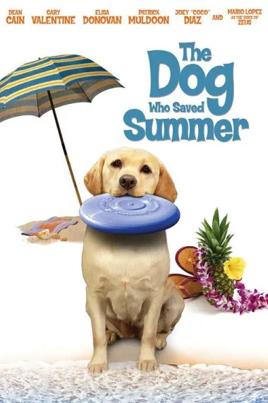 妙狗拯救夏日 下载