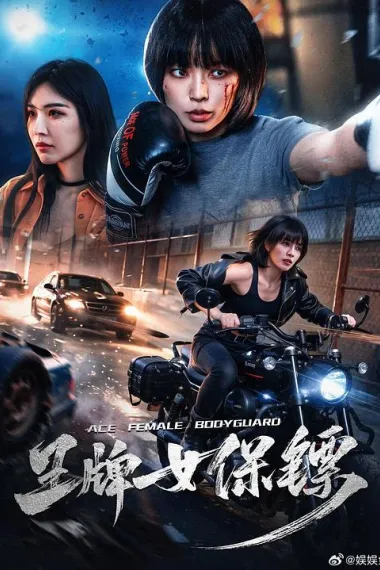 王牌女保镖 2160P 4K 下载